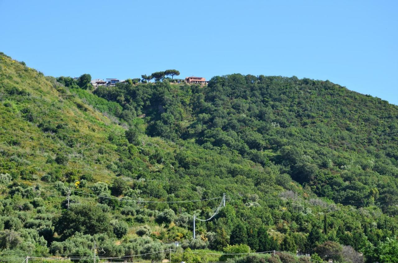 Penthouse Mare E Monti Leilighet Tropea Eksteriør bilde
